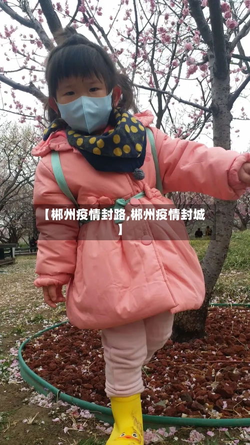 【郴州疫情封路,郴州疫情封城】