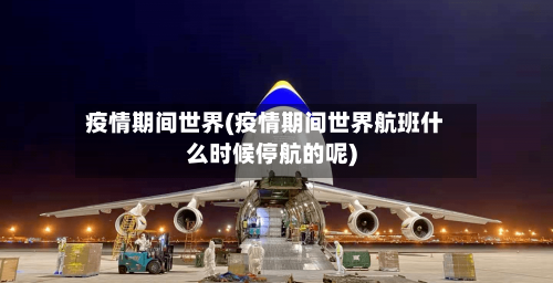 疫情期间世界(疫情期间世界航班什么时候停航的呢)