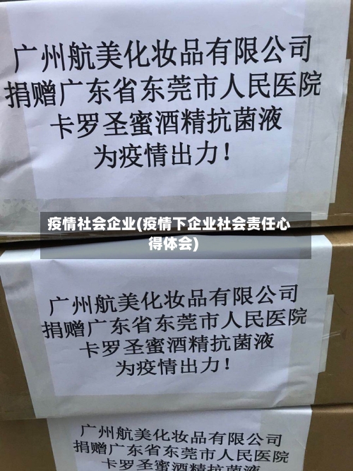 疫情社会企业(疫情下企业社会责任心得体会)