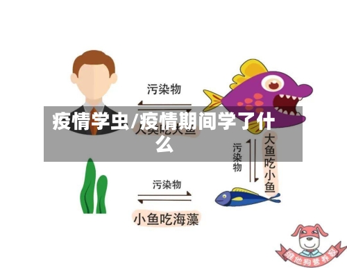 疫情学虫/疫情期间学了什么