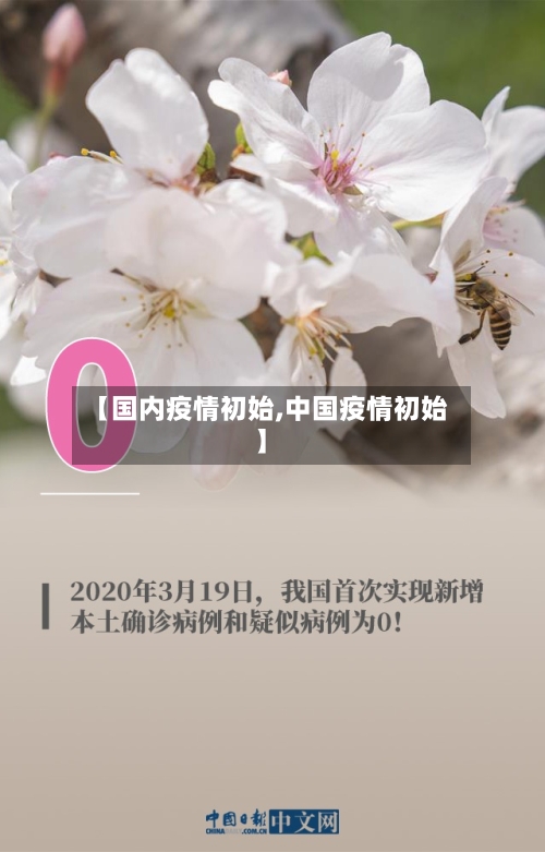 【国内疫情初始,中国疫情初始】
