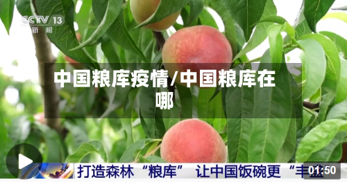 中国粮库疫情/中国粮库在哪