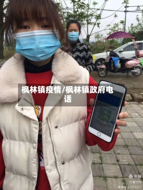 枫林镇疫情/枫林镇政府电话