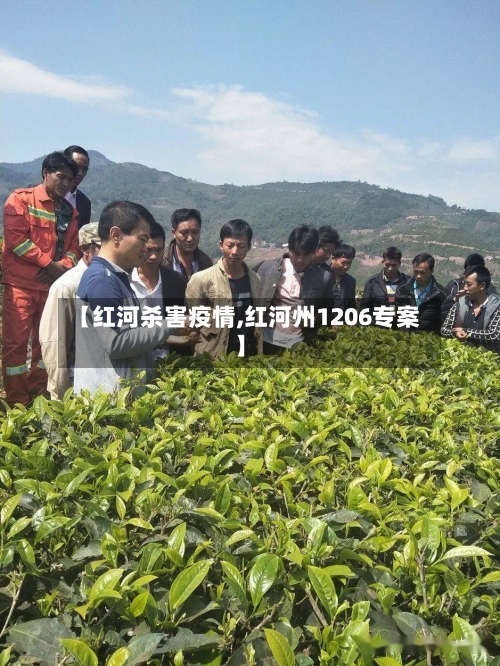 【红河杀害疫情,红河州1206专案】
