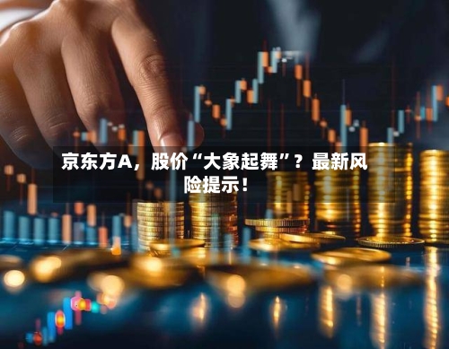 京东方A,股价“大象起舞”?最新风险提示!