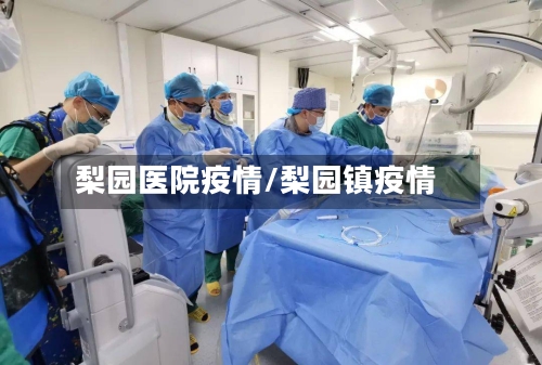 梨园医院疫情/梨园镇疫情