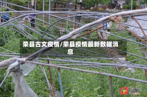荣县古文疫情/荣县疫情最新数据消息