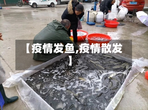 【疫情发鱼,疫情散发】