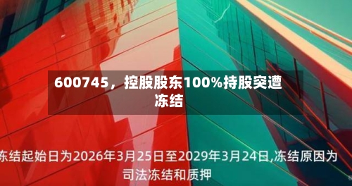 600745，控股股东100%持股突遭冻结