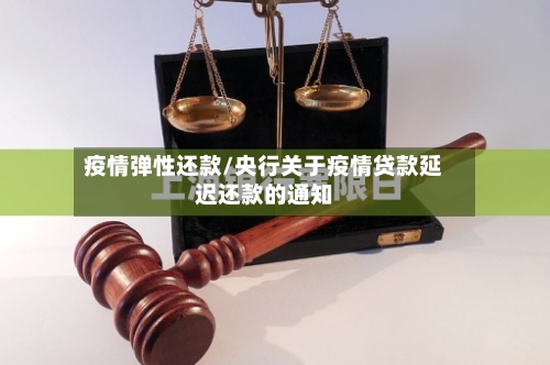 疫情弹性还款/央行关于疫情贷款延迟还款的通知