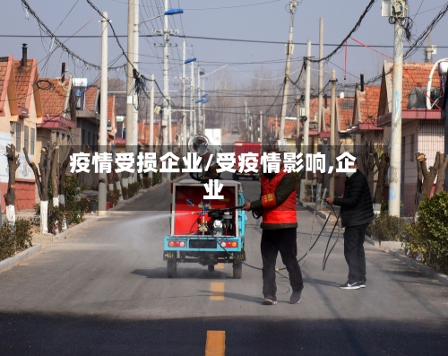 疫情受损企业/受疫情影响,企业