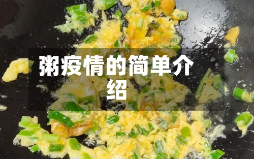 粥疫情的简单介绍