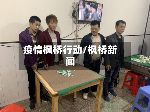 疫情枫桥行动/枫桥新闻