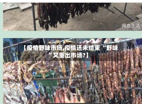 【疫情野味市场,疫情还未结束 “野味”又重出市场?】