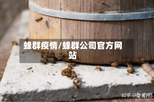 蜂群疫情/蜂群公司官方网站