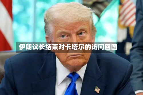 伊朗议长结束对卡塔尔的访问回国