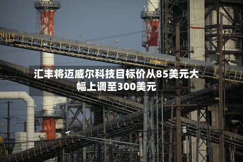 汇丰将迈威尔科技目标价从85美元大幅上调至300美元