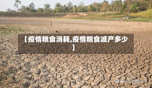 【疫情粮食消耗,疫情粮食减产多少】