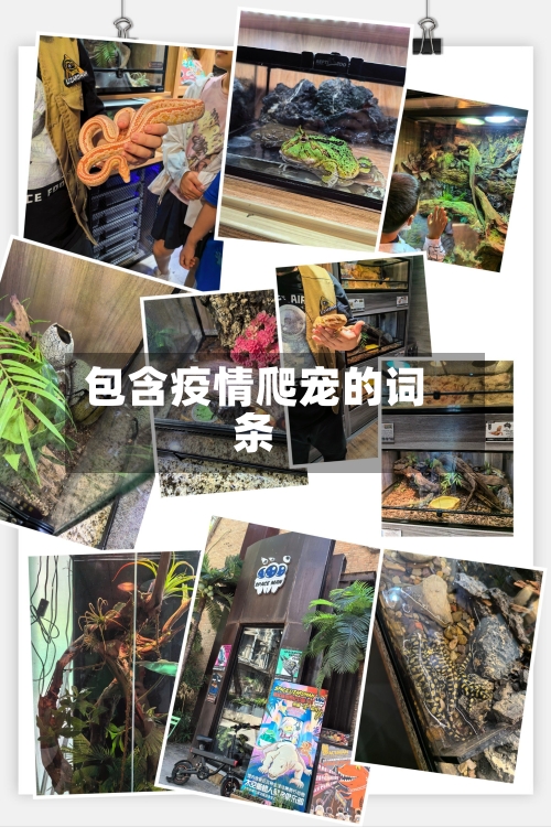 包含疫情爬宠的词条