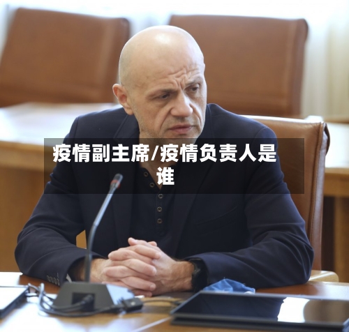 疫情副主席/疫情负责人是谁