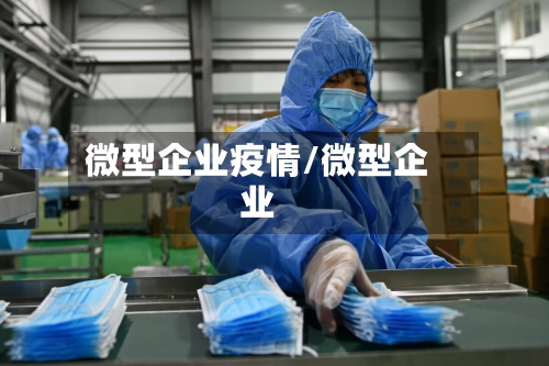 微型企业疫情/微型企业