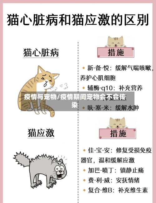 疫情与宠物/疫情期间宠物会不会传染