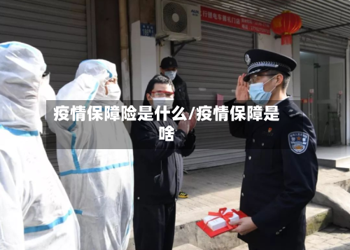 疫情保障险是什么/疫情保障是啥