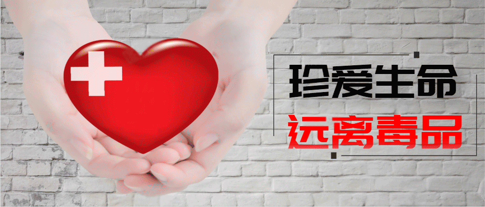 【丁香在线疫情,丁香全国新型肺炎疫情实时动态】
