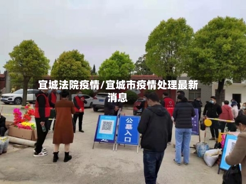 宜城法院疫情/宜城市疫情处理最新消息