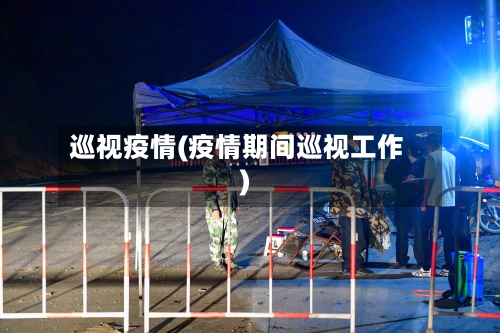 巡视疫情(疫情期间巡视工作)