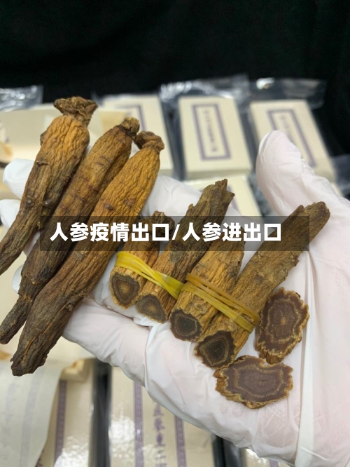 人参疫情出口/人参进出口
