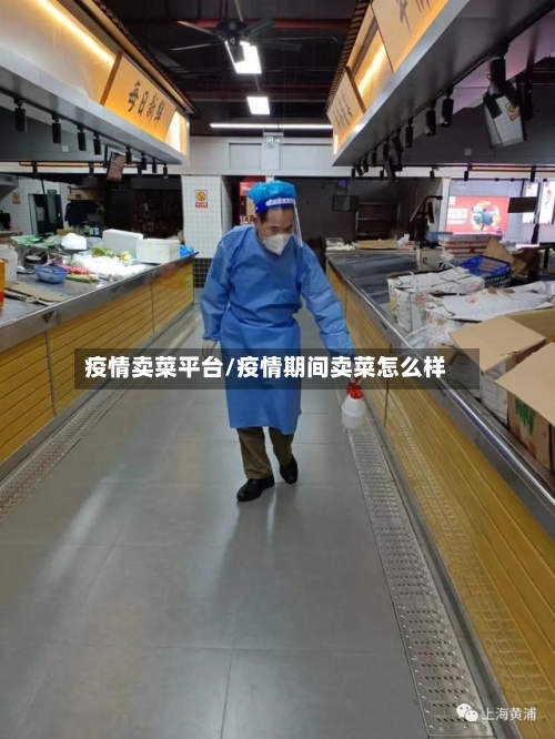疫情卖菜平台/疫情期间卖菜怎么样