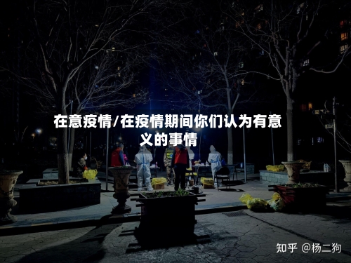 在意疫情/在疫情期间你们认为有意义的事情