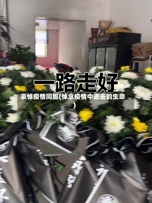 哀悼疫情同胞(悼念疫情中逝去的生命)