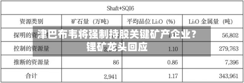 津巴布韦将强制持股关键矿产企业?锂矿龙头回应