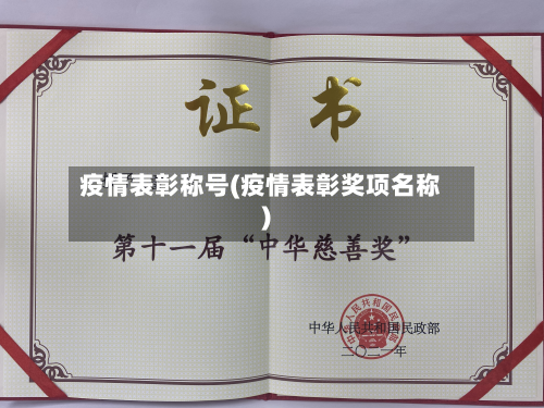 疫情表彰称号(疫情表彰奖项名称)