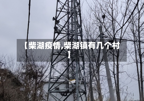 【柴湖疫情,柴湖镇有几个村】