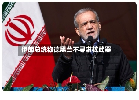 伊朗总统称德黑兰不寻求核武器