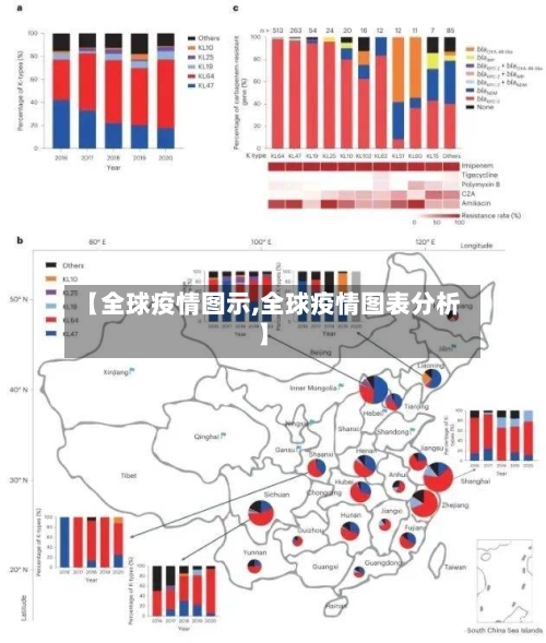 【全球疫情图示,全球疫情图表分析】