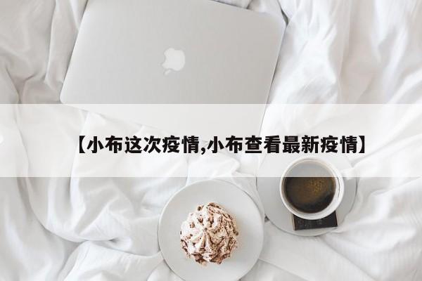 【小布这次疫情,小布查看最新疫情】