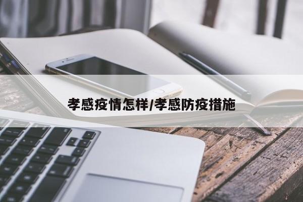 孝感疫情怎样/孝感防疫措施