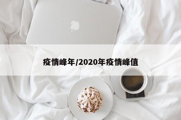 疫情峰年/2020年疫情峰值