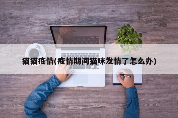 猫猫疫情(疫情期间猫咪发情了怎么办)